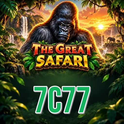7c77 Overview